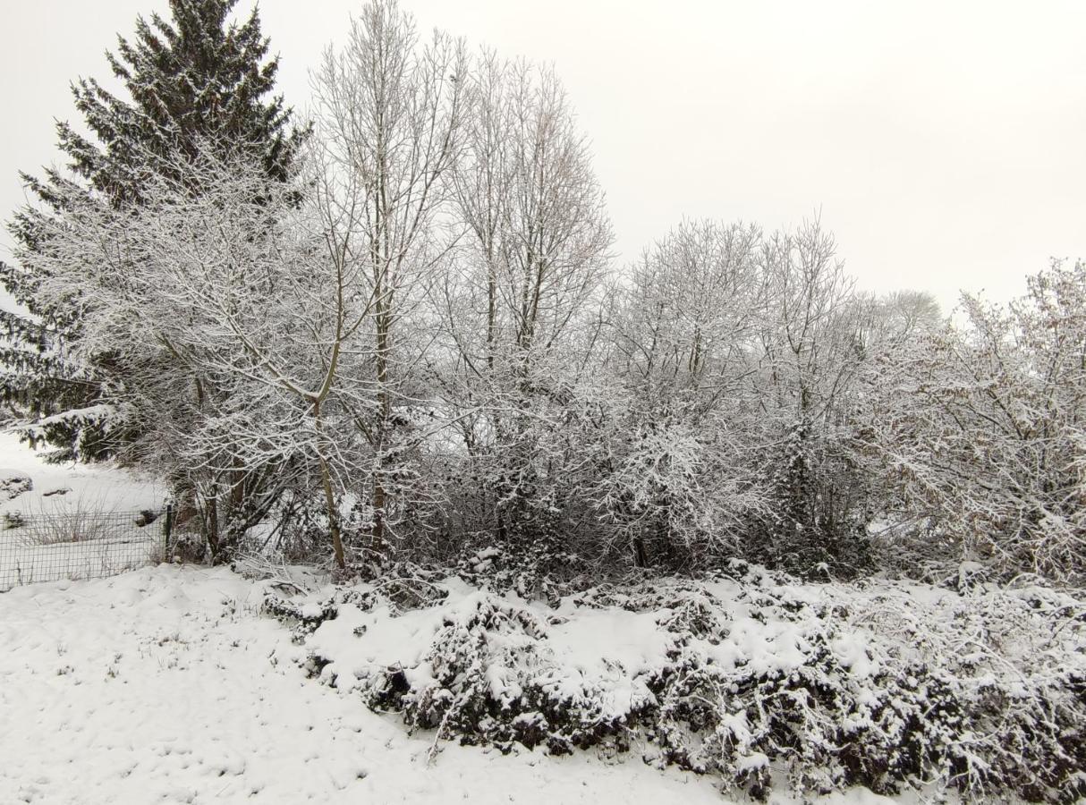 Gite Les Eylauds Pionsat Exterior foto