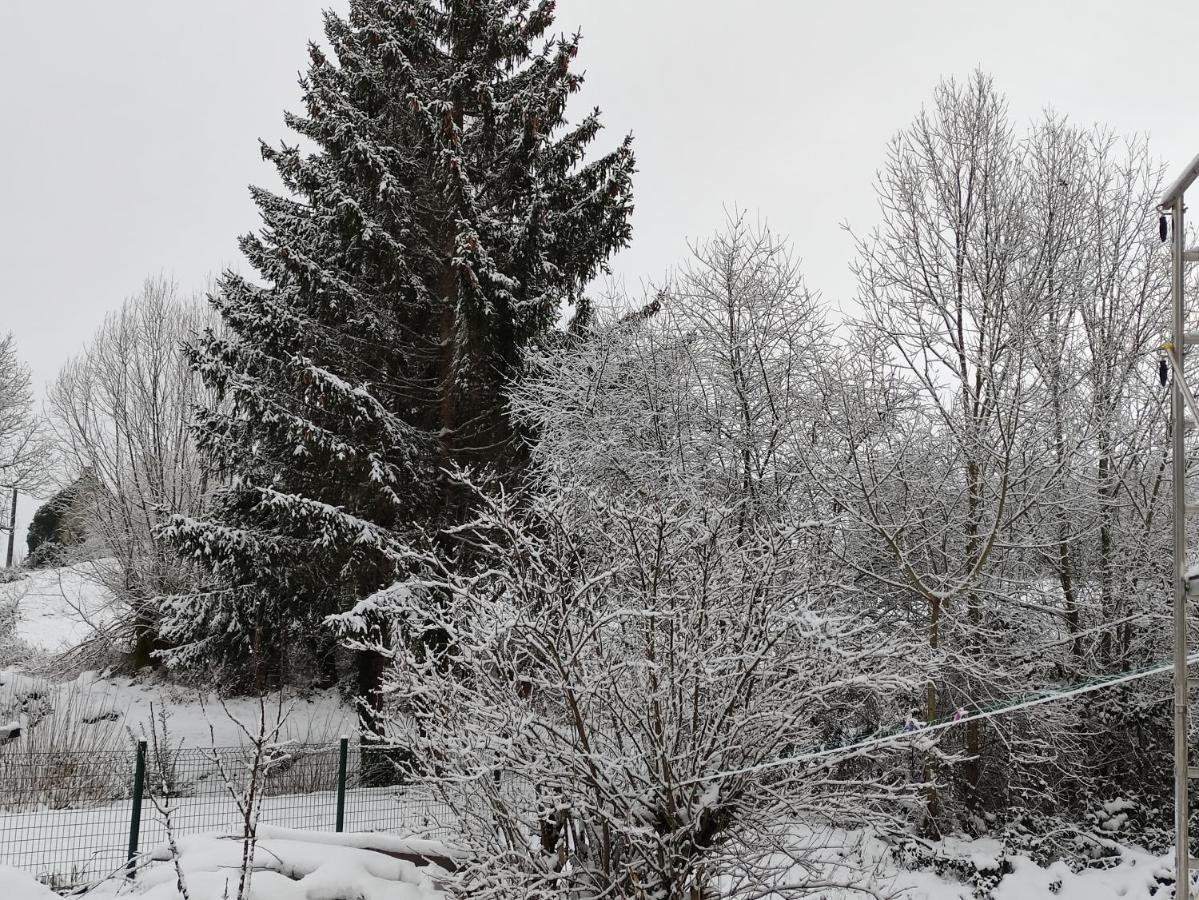 Gite Les Eylauds Pionsat Exterior foto